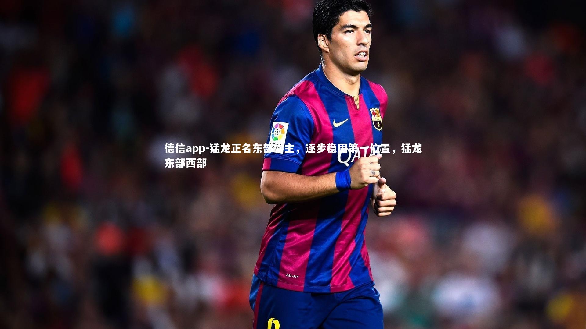 猛龙正名东部霸主，逐步稳固第一位置，猛龙东部西部